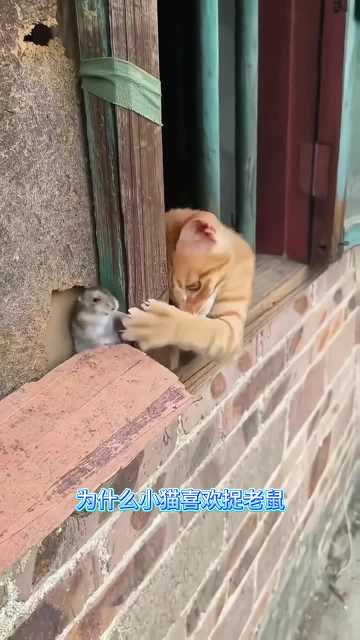 小学必读十万个为什么中国少年儿童百科全书正版科普绘本故事书