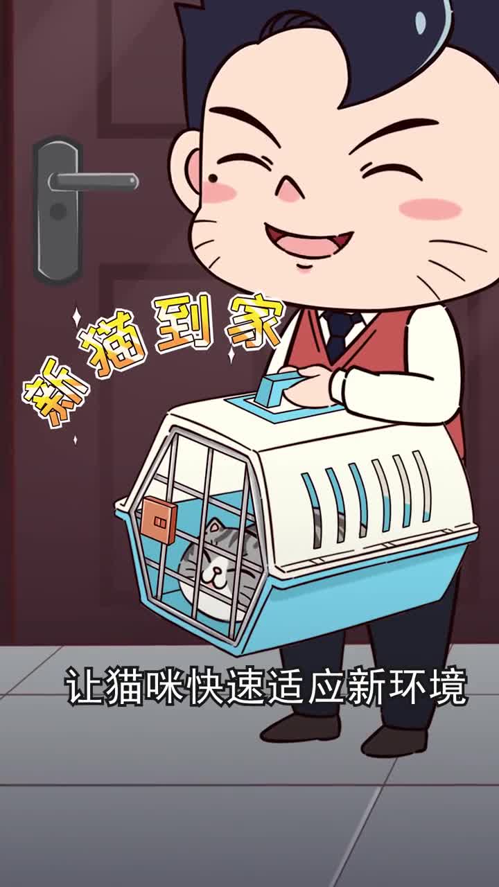 新猫到家要注意这几件事让猫咪快速适应环境