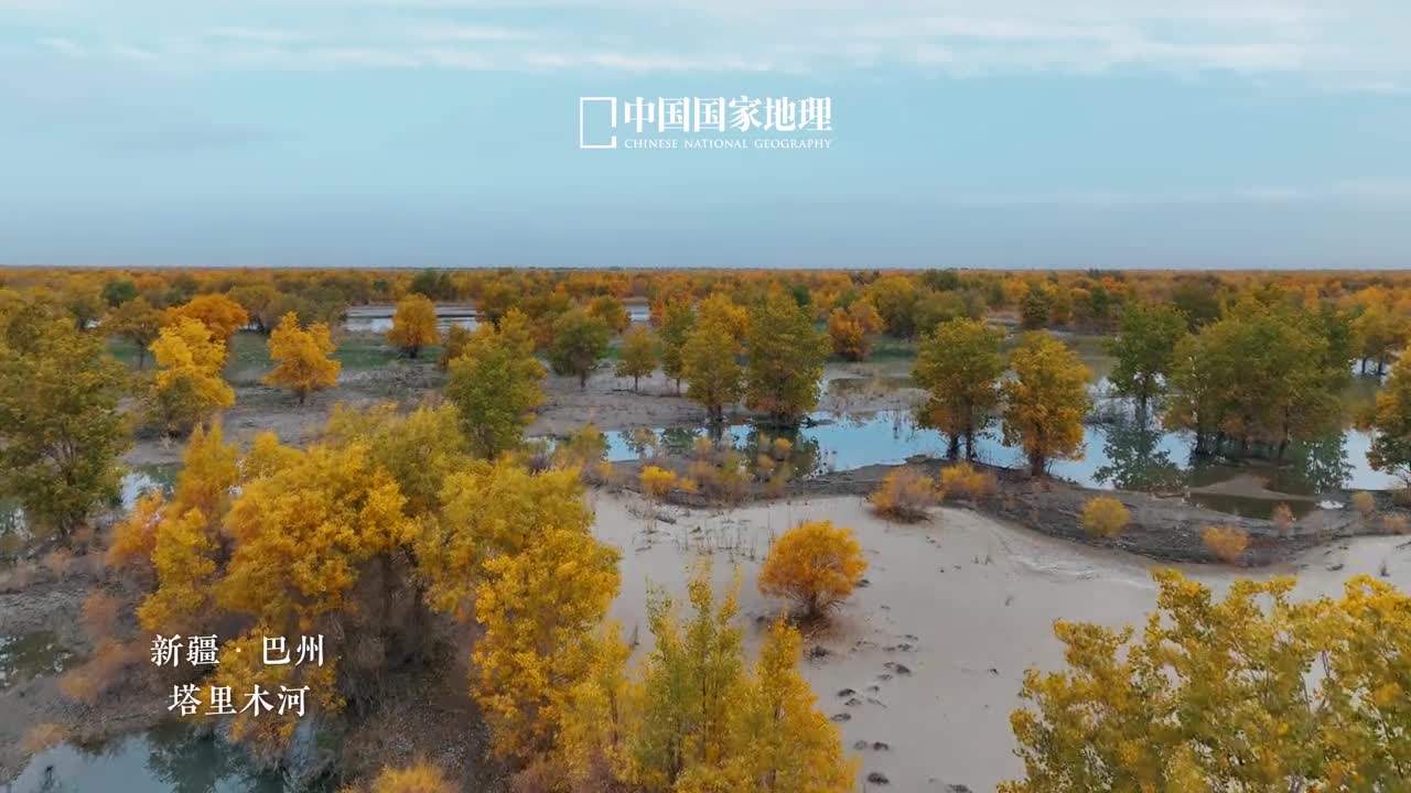 胡杨沙漠中的生命赞歌在塔克拉玛干沙漠北缘新疆巴州塔里木河流域生长着一片坚毅的胡杨它们在干旱中坚守是重要的绿洲生态屏障时光流转风骨依旧除了浓厚的神秘感胡杨还在向人们展现着它顽强的生命力量