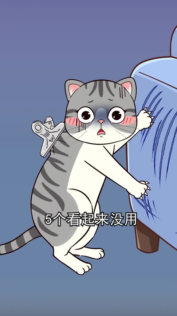 看着没用却非常靠谱的5个养猫小技巧你不会还不知道吧