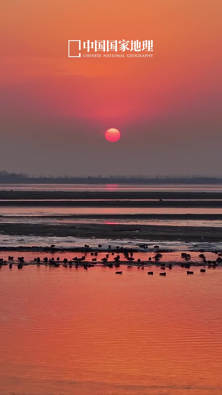 这一刻唐诗照进了现实白日依山尽黄河入海流历经毁建的千古名楼鹳雀楼依旧伫立在黄河之畔如今不用更上一层楼也能展开那千里目看高楼巍峨鹤舞红日往下看冰雪消融水暖鸭知欢腾嬉戏一下子好几首名诗的意境都在其中了