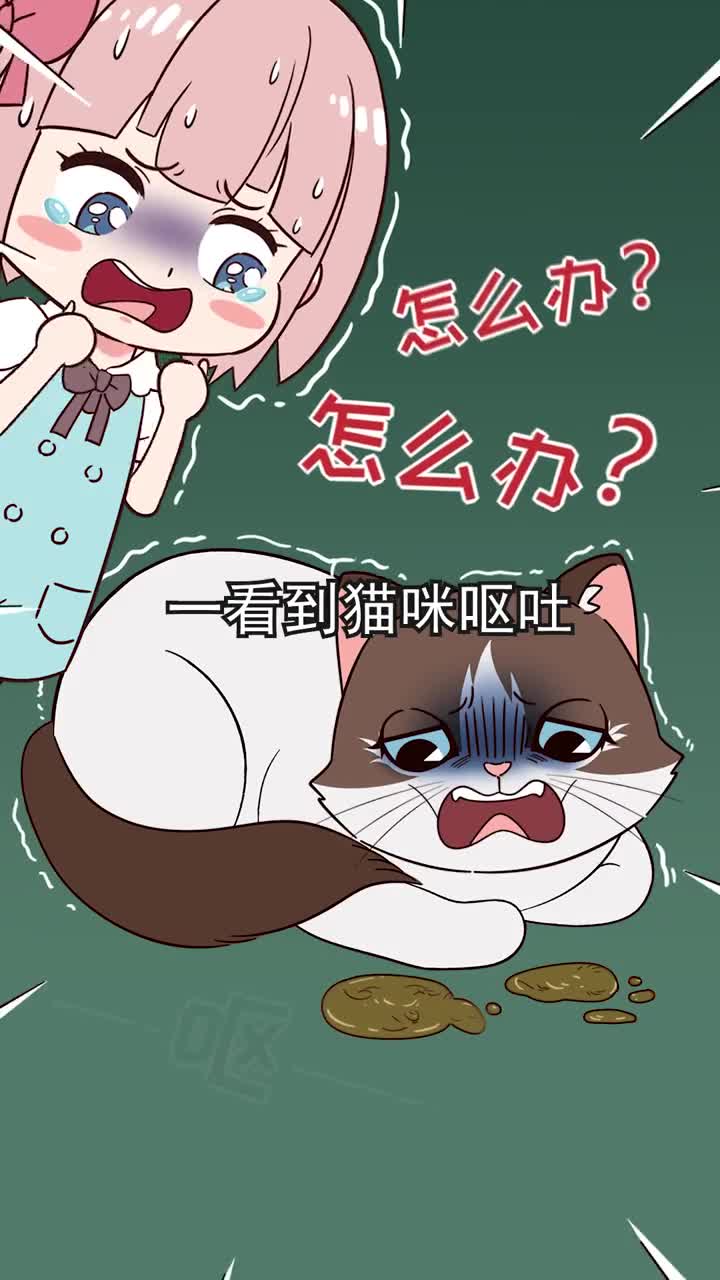 猫咪呕吐的常见原因别再瞎操心了记得收藏新手养猫用得上