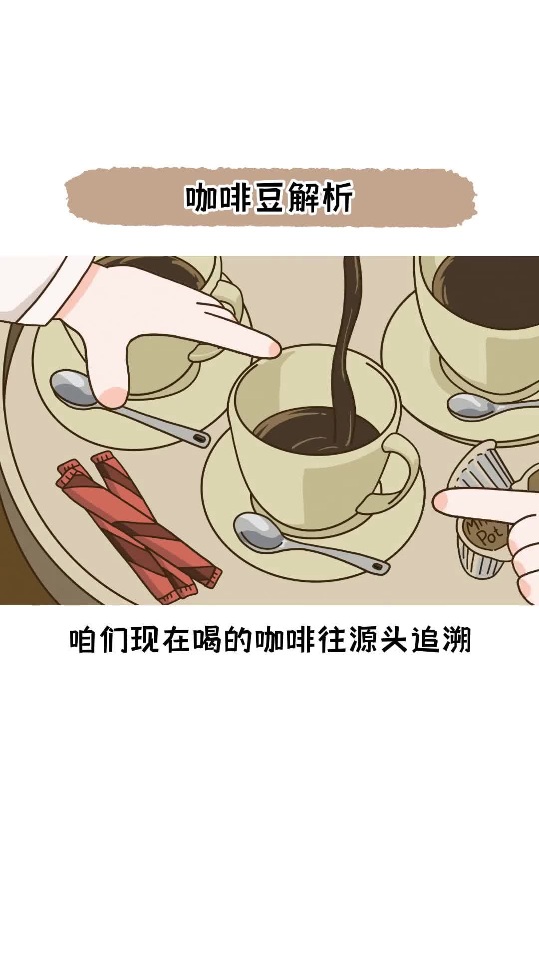 你对咖啡豆了解多少