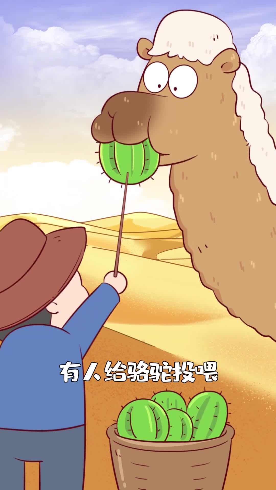 骆驼的牙口有多硬核