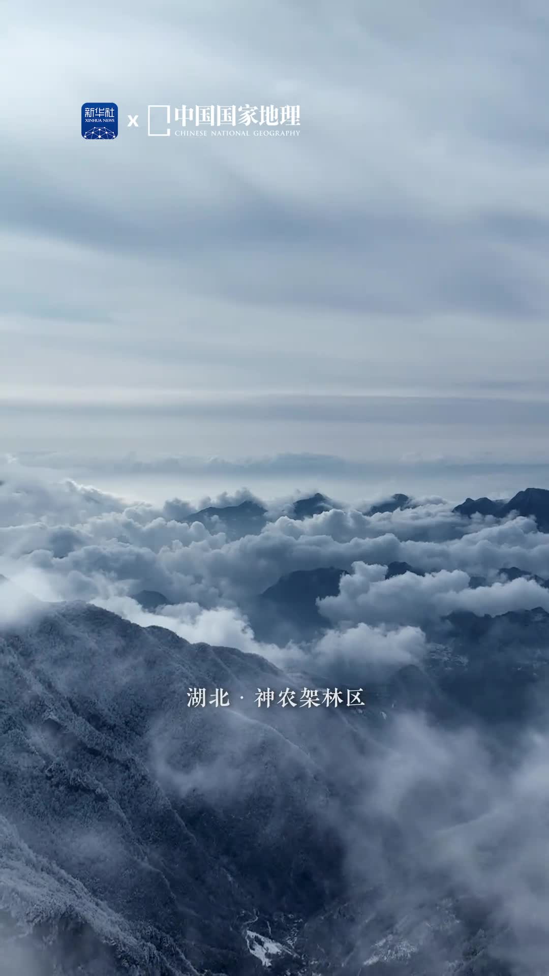 神农架能满足你对冰雪的想象群山万壑之间林深密布飘渺云雾悠然变幻着形态如同这里的传说一般令人着迷一场纷飞而至的冬雪让这里更添了几分清冷神秘的气韵引得无限遐想