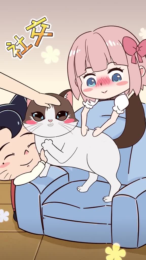 3招培养出一只社牛猫不怕陌生人还能出门遛哦