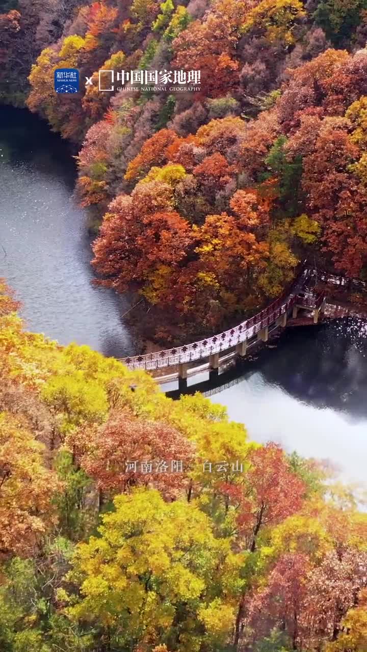 沉醉山野游彩秋秋日的白云山有着浮翠流丹的彩林缓缓流淌的溪流陡峭险峻的奇峰朦胧温柔的烟云景不醉人人自醉