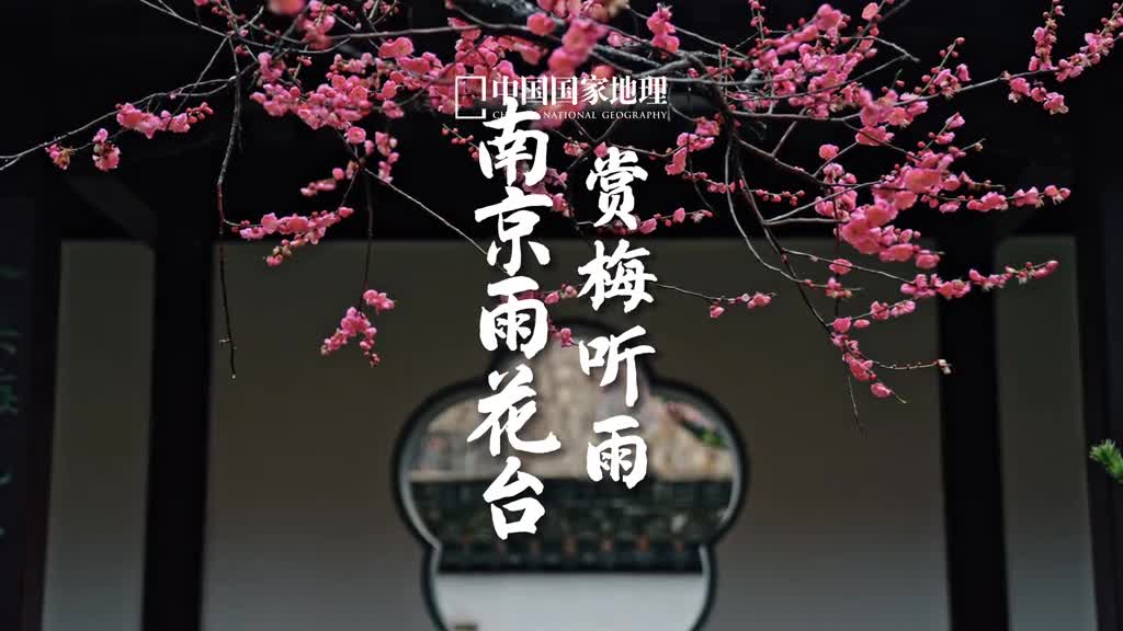 江南无所有聊赠一枝春对于南京人来说不赏梅的春天是不完整的江南是我国植梅赏梅的核心地区南京人更以梅花为市花除了天下第一梅山的梅花山雨花台的梅岗也是南京热门的赏梅地闲坐听春雨循廊步逶迤诗情画意古韵悠长雨花台不仅有春天里的中式美学更承载着不朽的雨花英烈精神庄严肃穆气势恢宏让人感受到信仰的力量