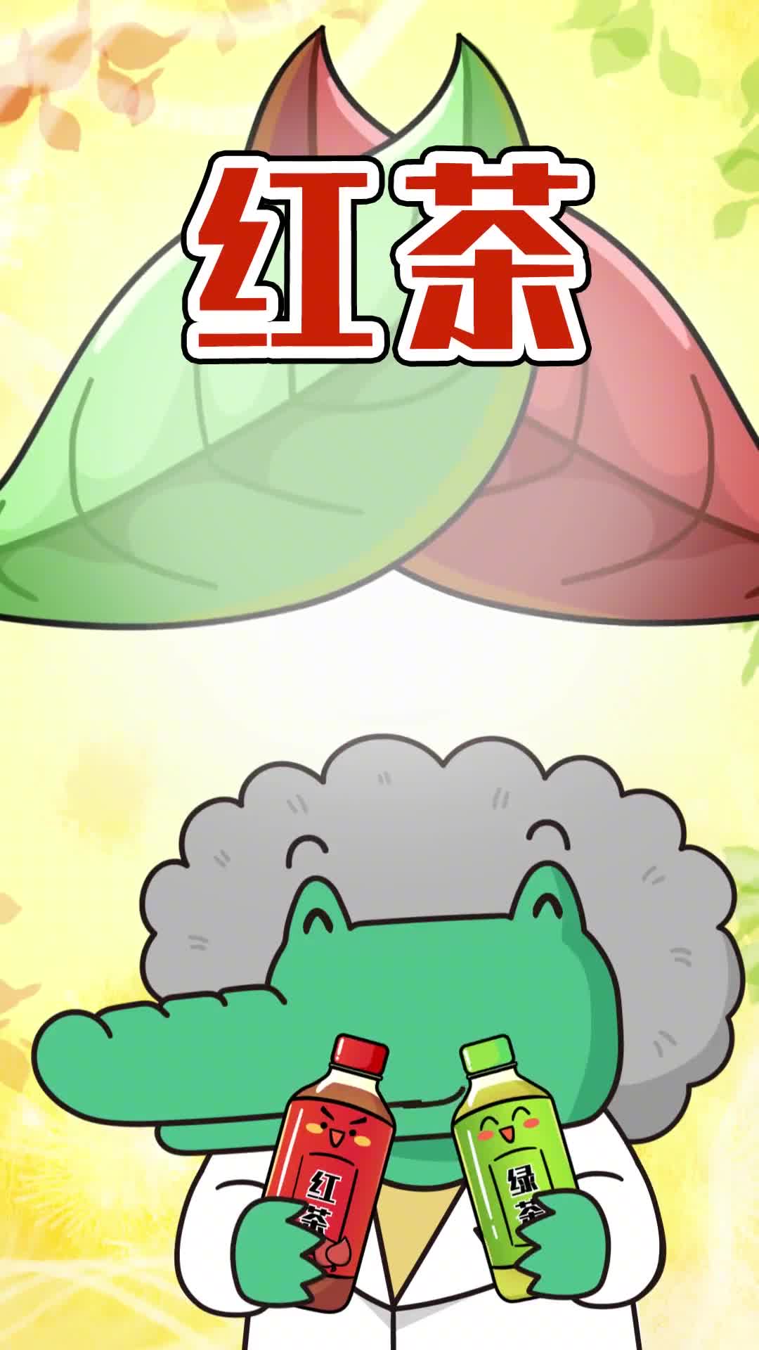 第65集红茶和绿茶居然是一家又可以给爸妈讲知识了