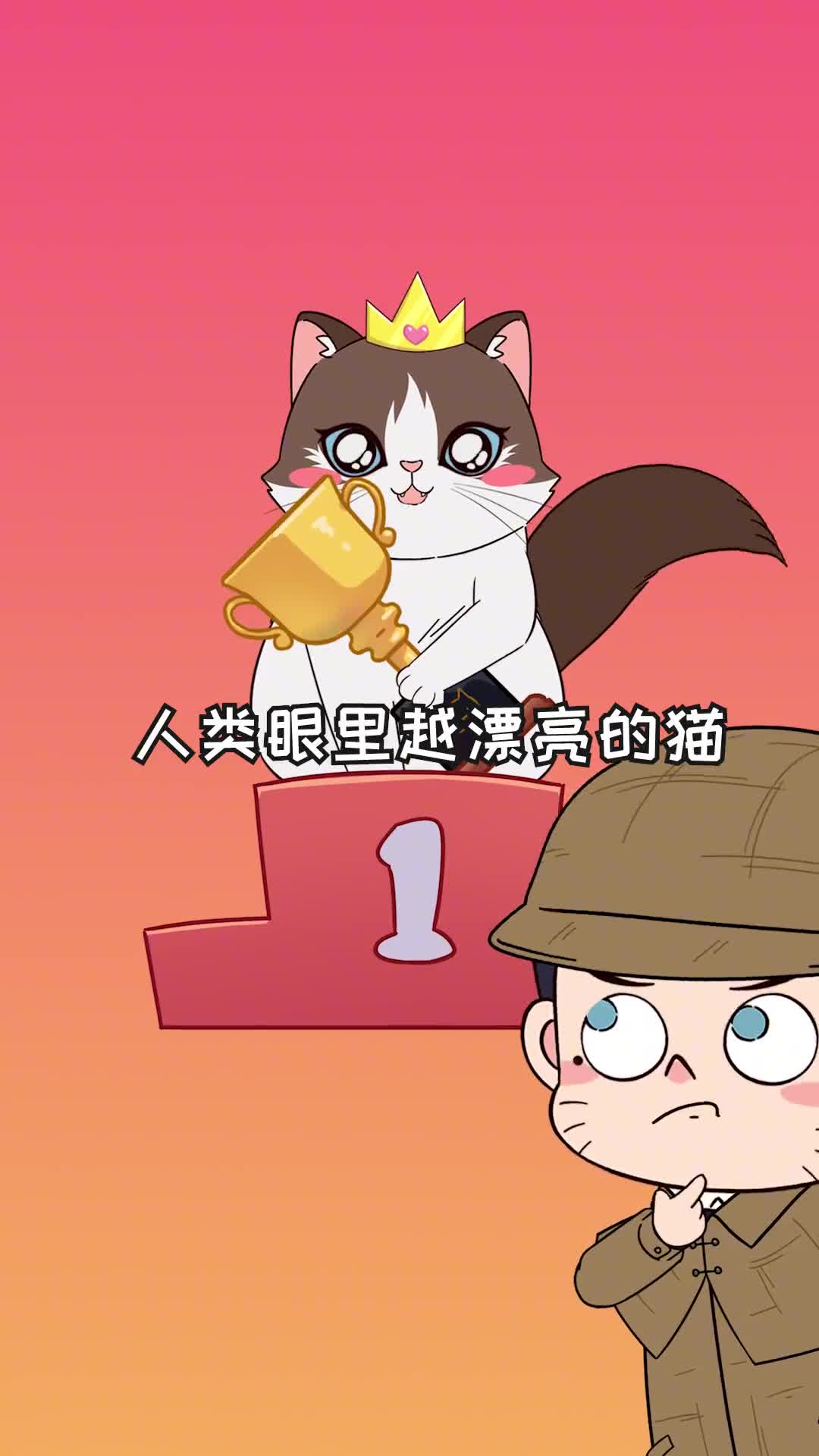 猫咪找对象也有审美标准没想到和人类完全相反