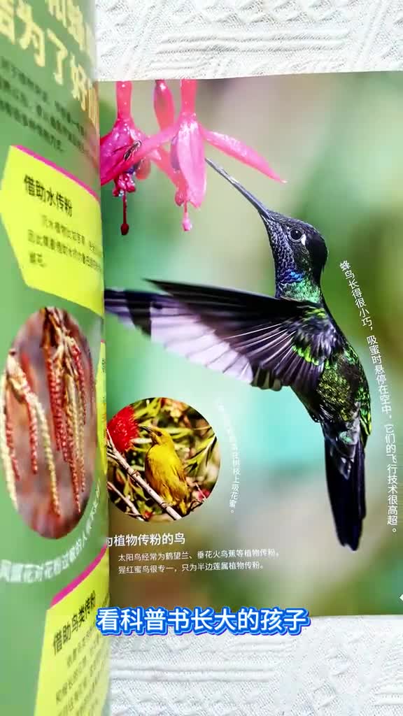 好奇少年儿童百科有意思的