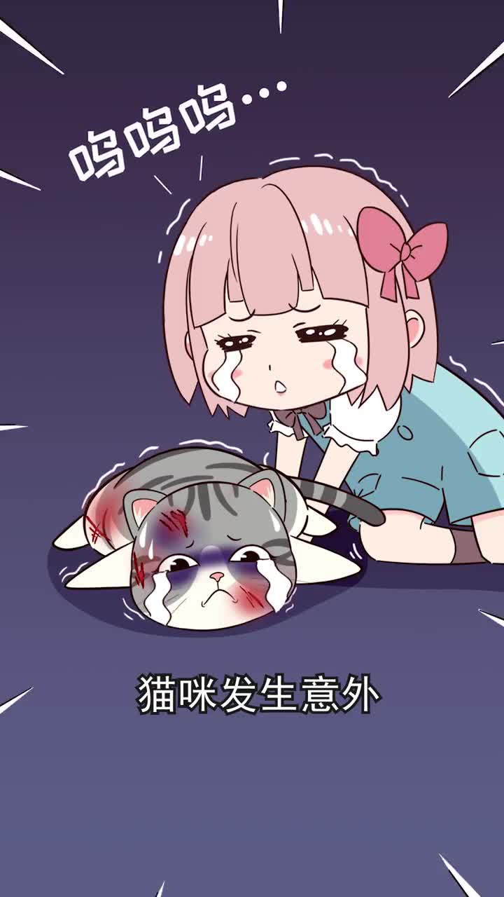 猫咪发生意外该如何处理建议收藏
