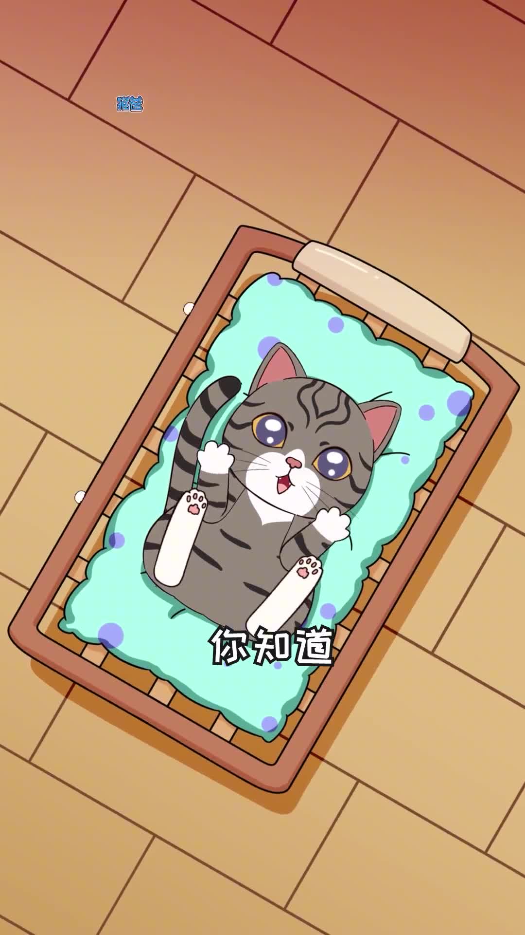 猫爸爸会带孩子吗