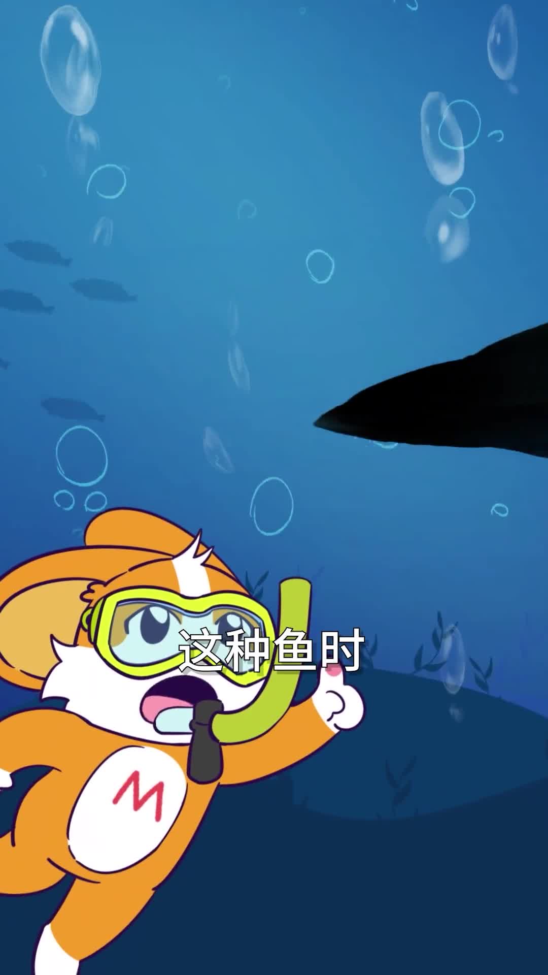 好端端的鱼为啥长得像个鞋底子