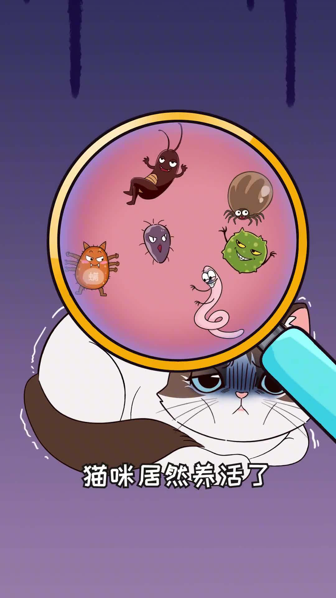 小猫咪竟然能养活这么多小虫子再可爱也得消灭它