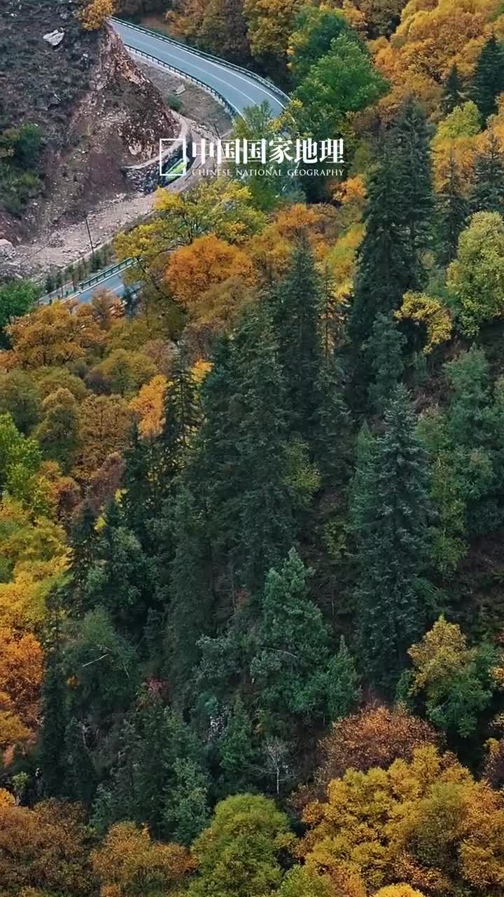 带你穿越金秋的祁连山腹地秋天的华章由秋叶奏响看这层峦叠嶂的山色层林尽染的秋韵这里是朱岔峡甘肃天祝三峡之一秋天是短暂的但越是短暂越是绚烂越是值得珍惜再不秋游这个秋天就要过期啦