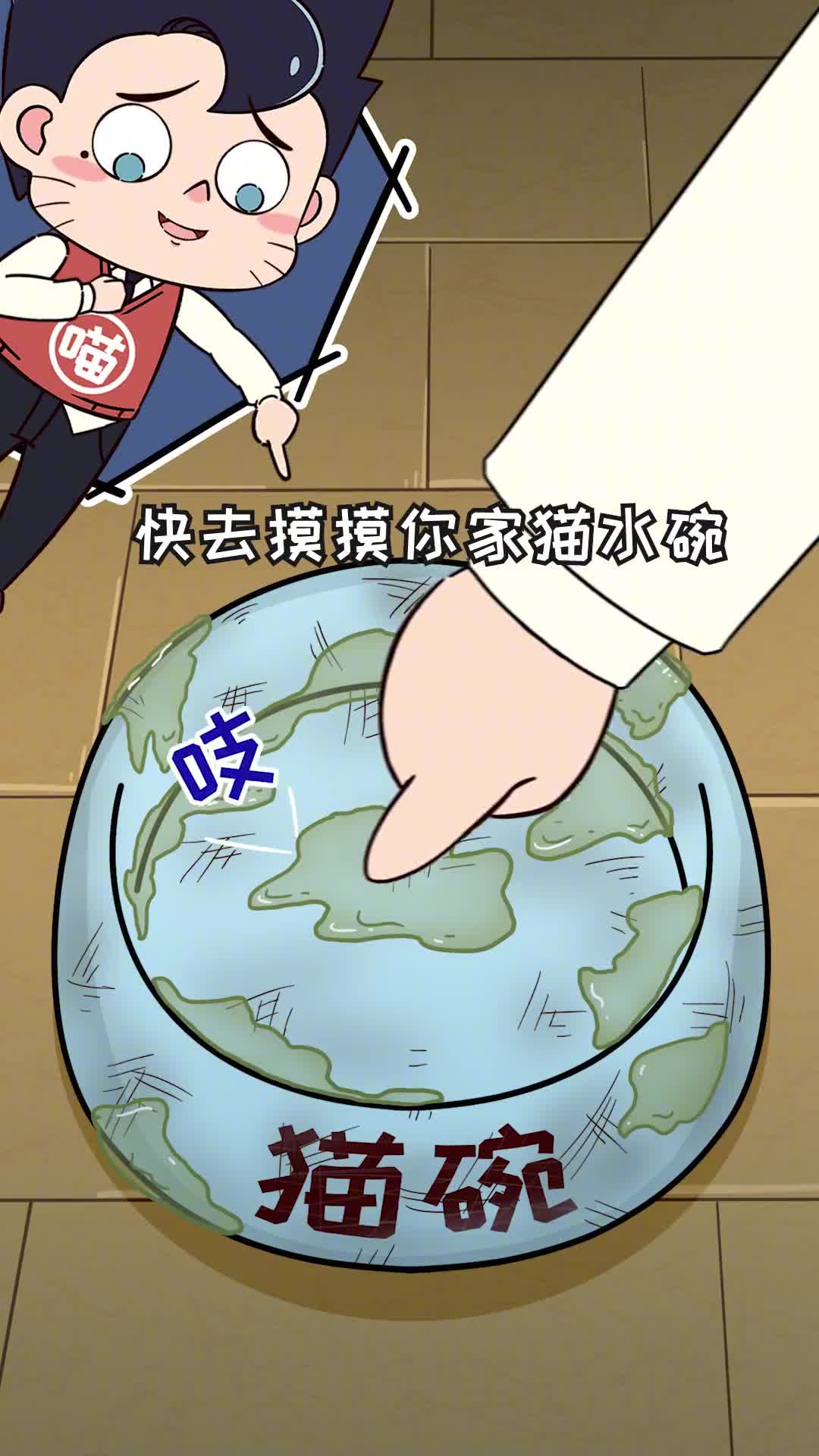 快去摸摸你家猫的水碗有这个滑溜溜的膜就要注意了
