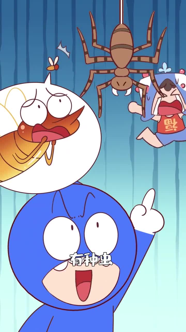 家里来了这种蜘蛛可千万别赶走它