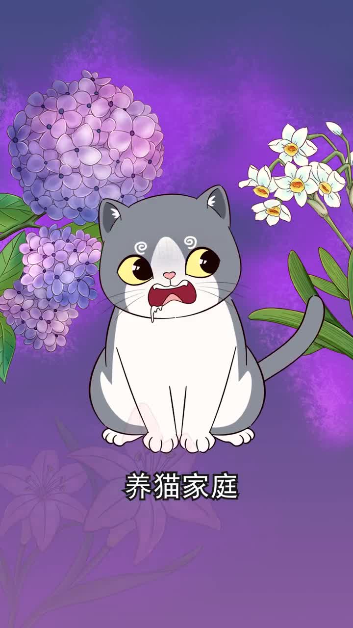 猫咪不能碰的几种植物新手注意咯看看你家有没有养呢