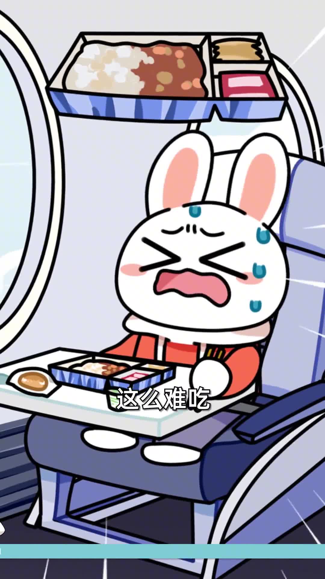 你觉得飞机餐好吃吗