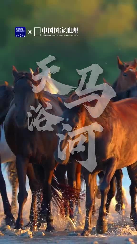 牧歌昭苏天马故乡新疆伊犁天马国际旅游节在昭苏县盛大开幕一起欣赏天马浴河的壮观场面看力量的水花染上金辉见野性的美感肆意纵横愿我们都能踏浪前行勇往直前