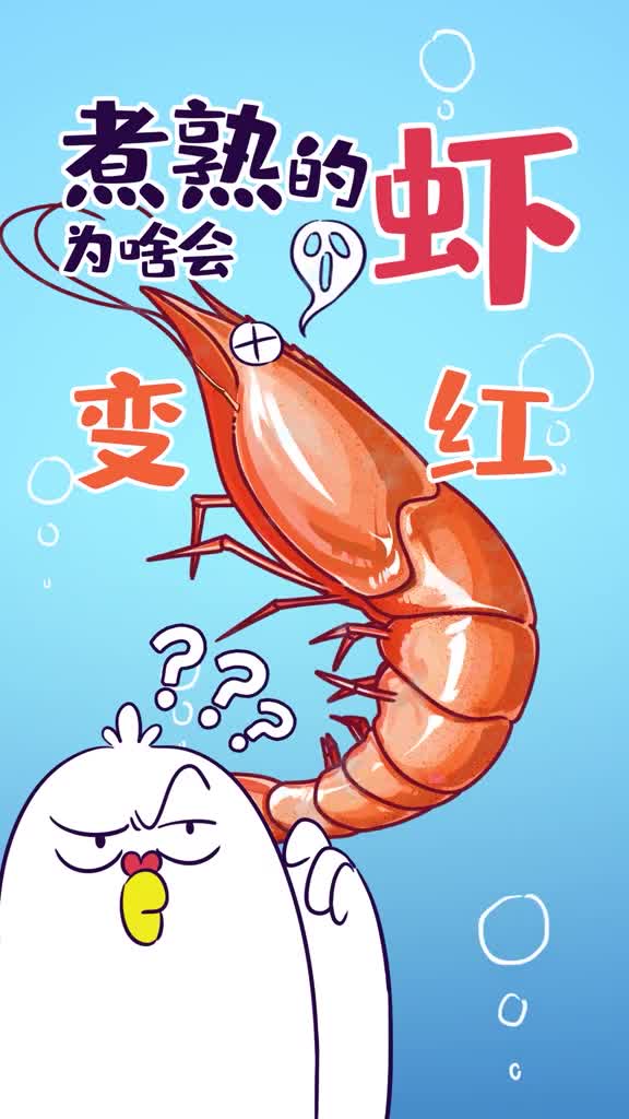 煮熟的虾为啥会变红