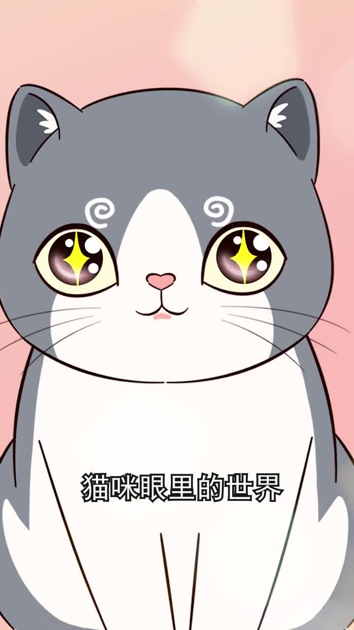 猫咪眼里的世界和人类有什么不同呢大多养猫人都不知道的冷知识