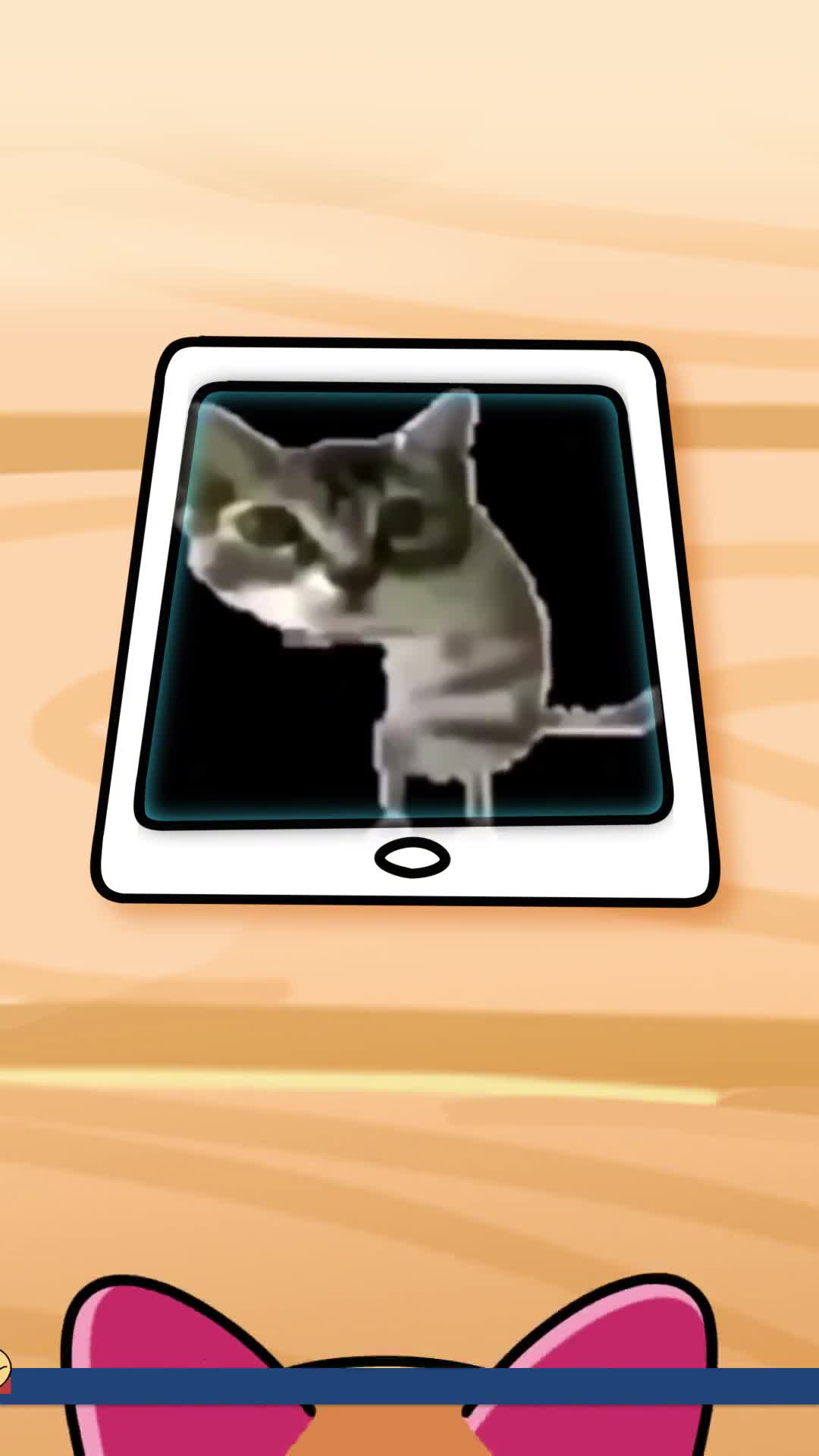 猫猫也有自己偏爱的曲风喵喵叫居然不是猫猫的通用语言