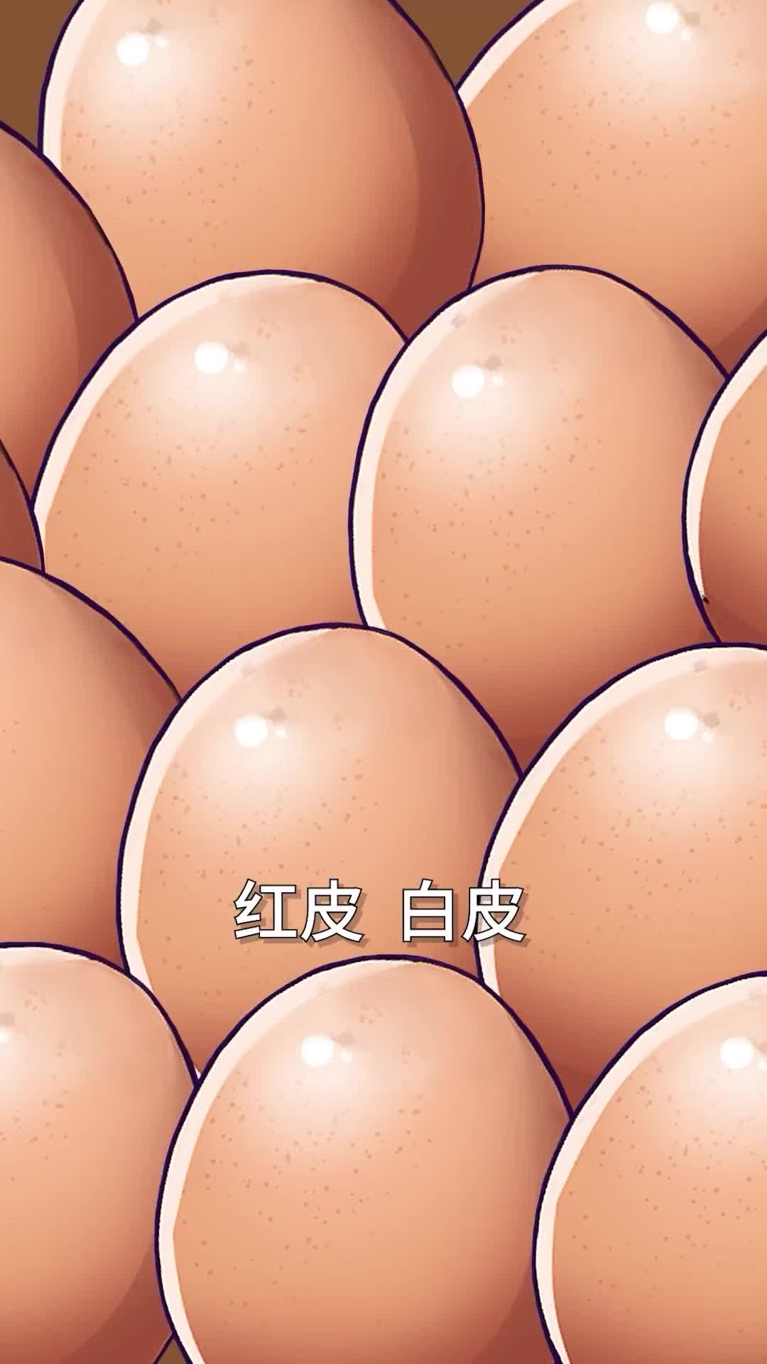 红皮鸡蛋真的比白皮鸡蛋更有营养吗