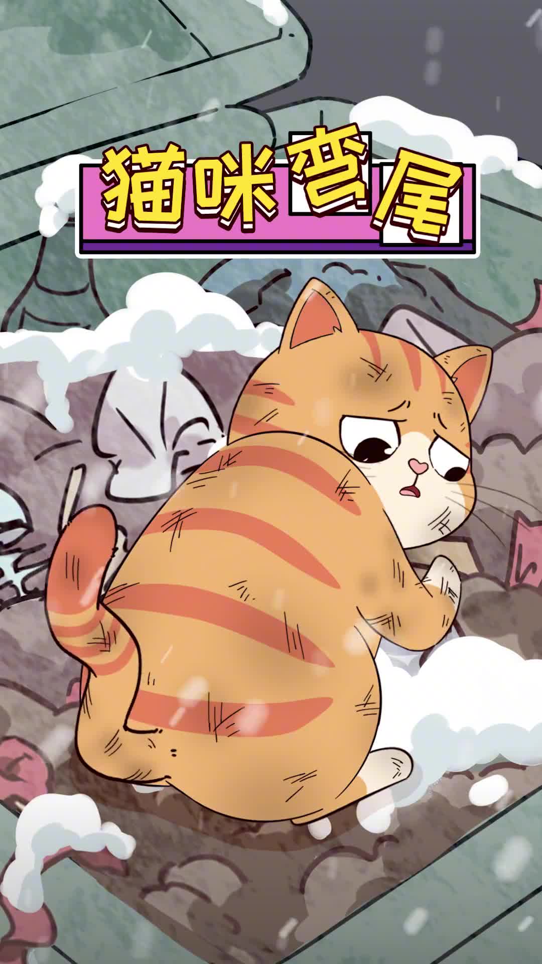 猫咪尾巴短是被人虐待了不不不人家可是猫中之王