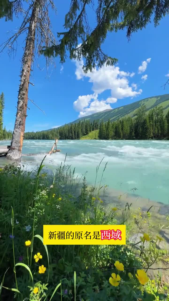 这些百科常识你知道吗孩子看了这本百科常识孩子学习能力突飞猛进家长买了之后语文常识再也不丢分了