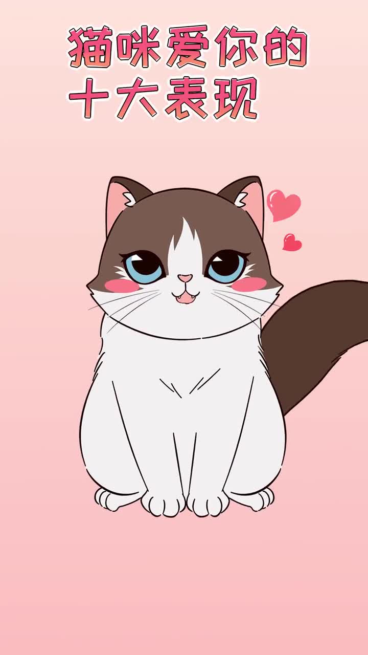 猫咪爱你的十种表现下你家猫咪全中了吗