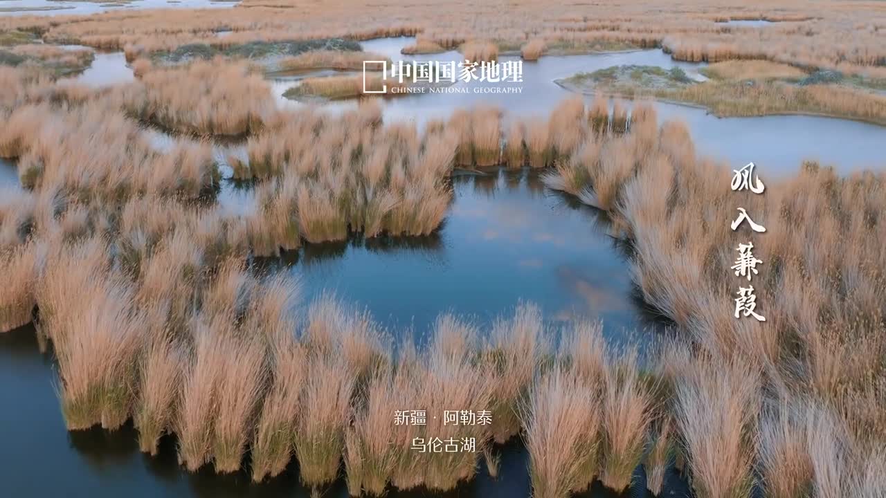 秋色向晚人间安暖