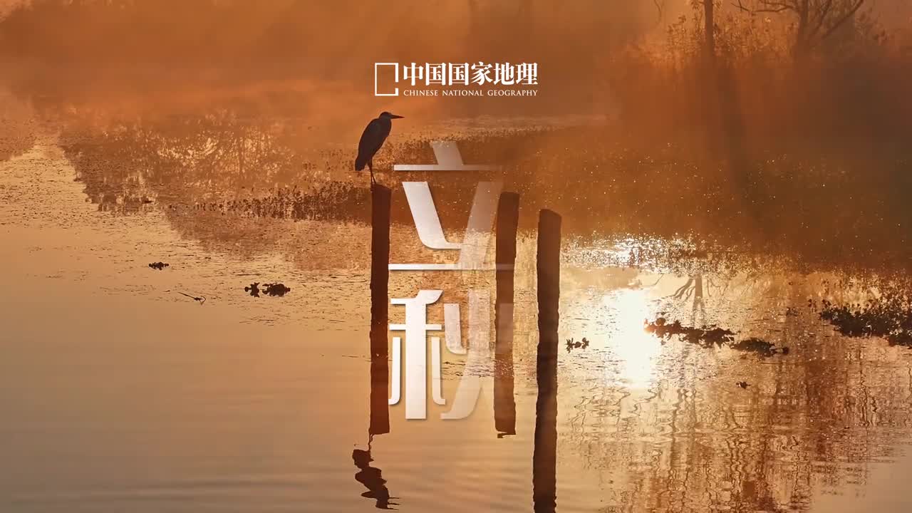 立秋时光有信岁月流金秋天的第一个节气来了凉风至万物收日子丰盈而又饱满总有新的故事值得期盼经年的期许终将酿成秋日的梦愿你与秋天所有的美好不期而遇