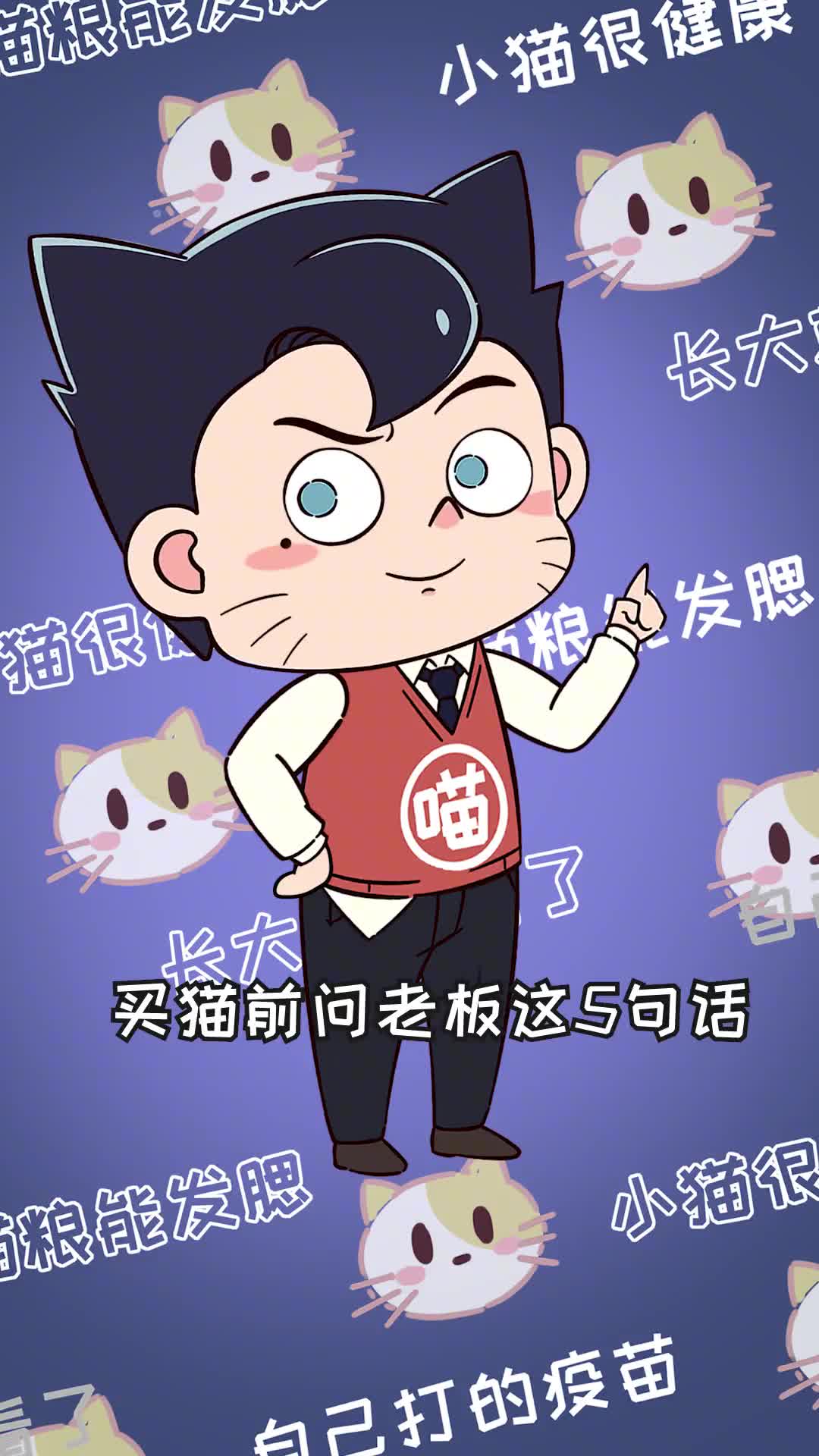 买猫时一定要问这5句话避免你被老板坑太惨