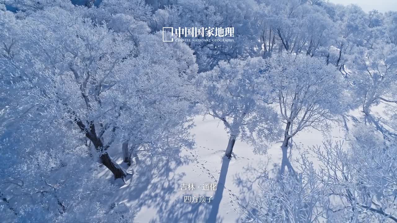 立冬岁暮轻寒万物归藏立冬虽不等于入冬但随着冷空气进一步频繁南下我国越来越多的地区入冬进程将加快这个冬天一起去看雪吧一场银粟飘落大地之上编织起如梦如幻的银白画卷素雅的色调中酝酿着另一种意义上的华丽你想和谁一起去看雪在评论区ta吧