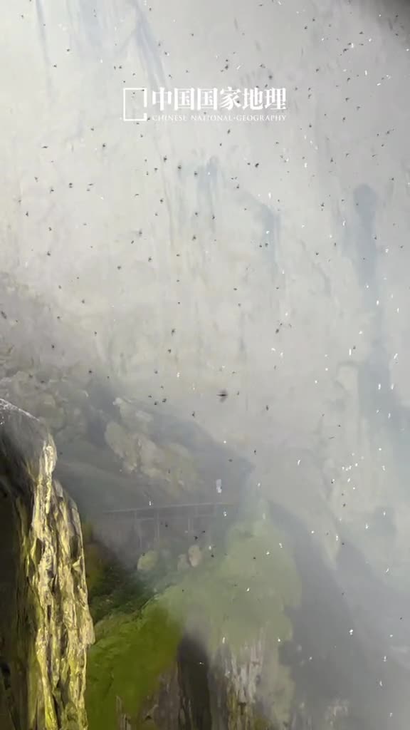 阳光总在风雨后乌云上有晴空