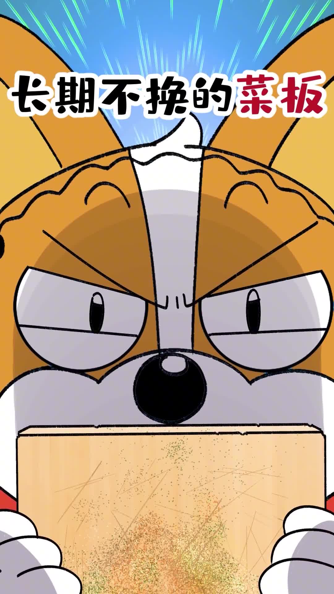 长期不换的菜板比马桶盖还脏