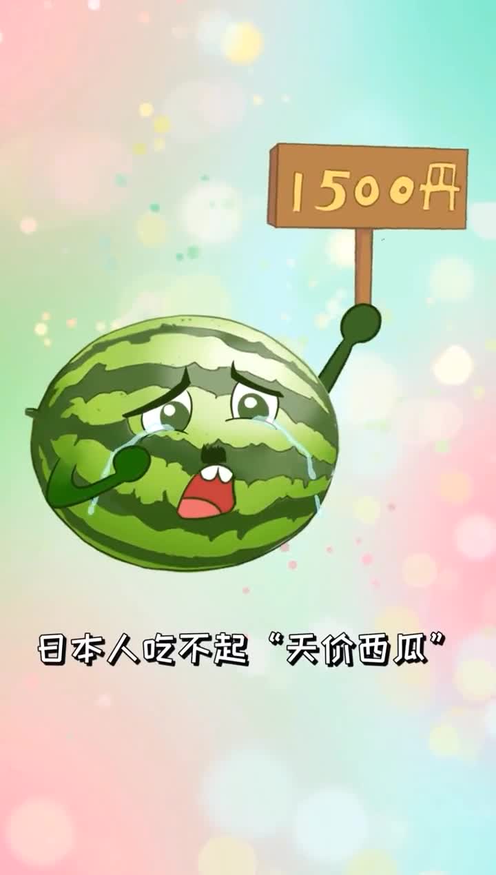 日本人吃不起的天价西瓜中国人却天天在吃瓜炫富