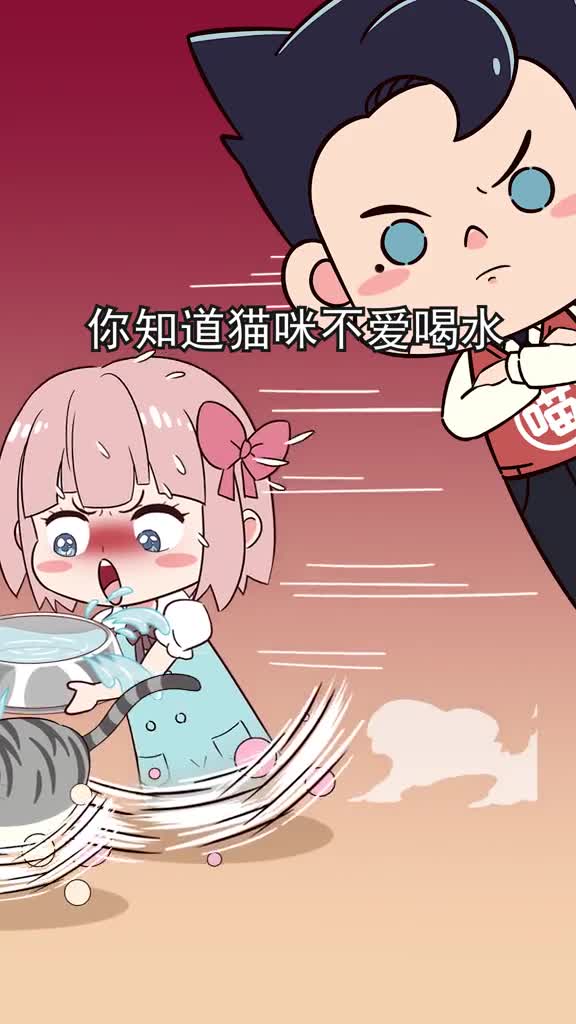 猫咪不爱喝水危害大这几招骗猫喝水大法赶紧试试吧