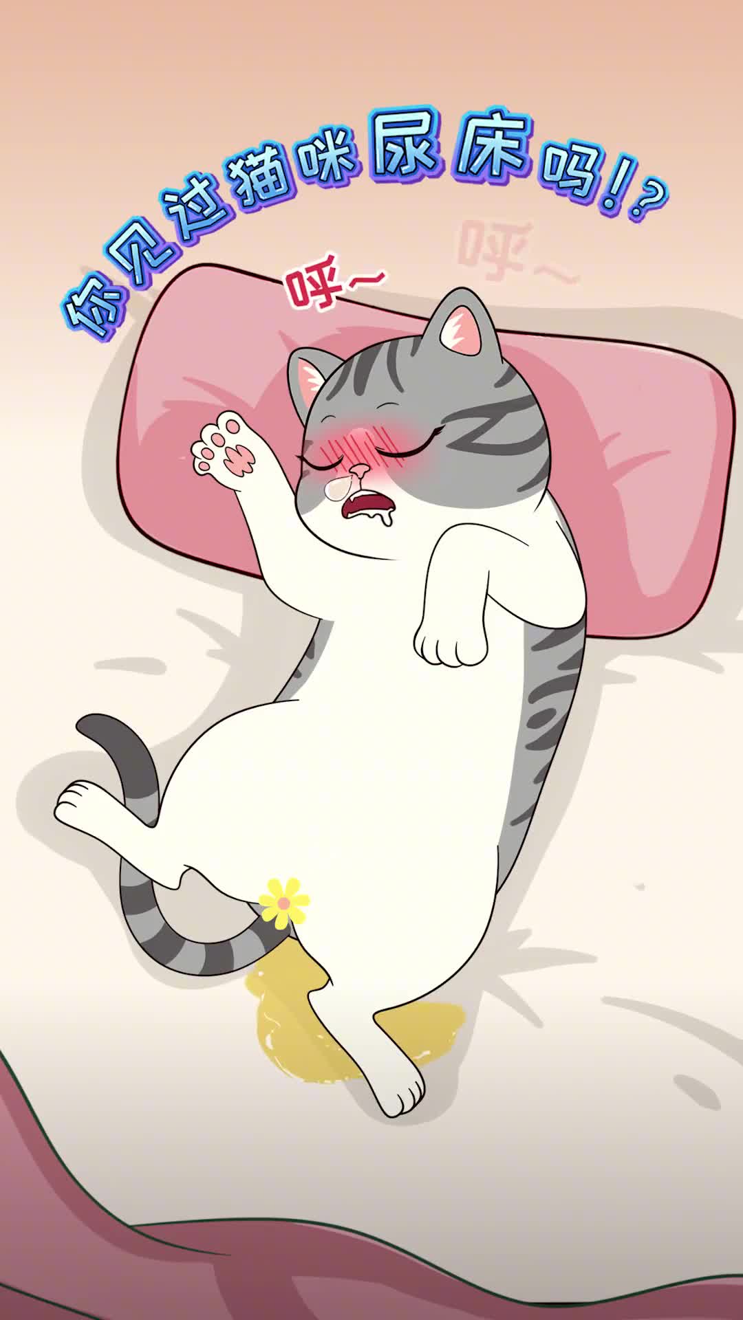 猫咪会梦到什么