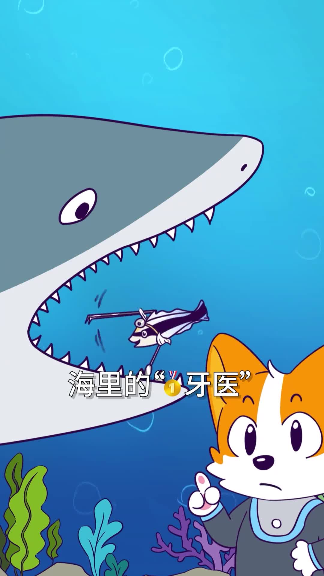 海底牙医清洁鱼服务客户时有多心机