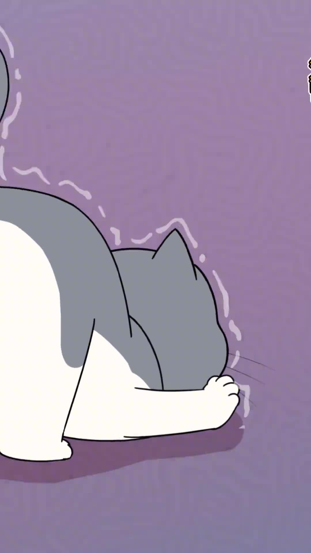 从猫咪拉粑粑姿势看性格