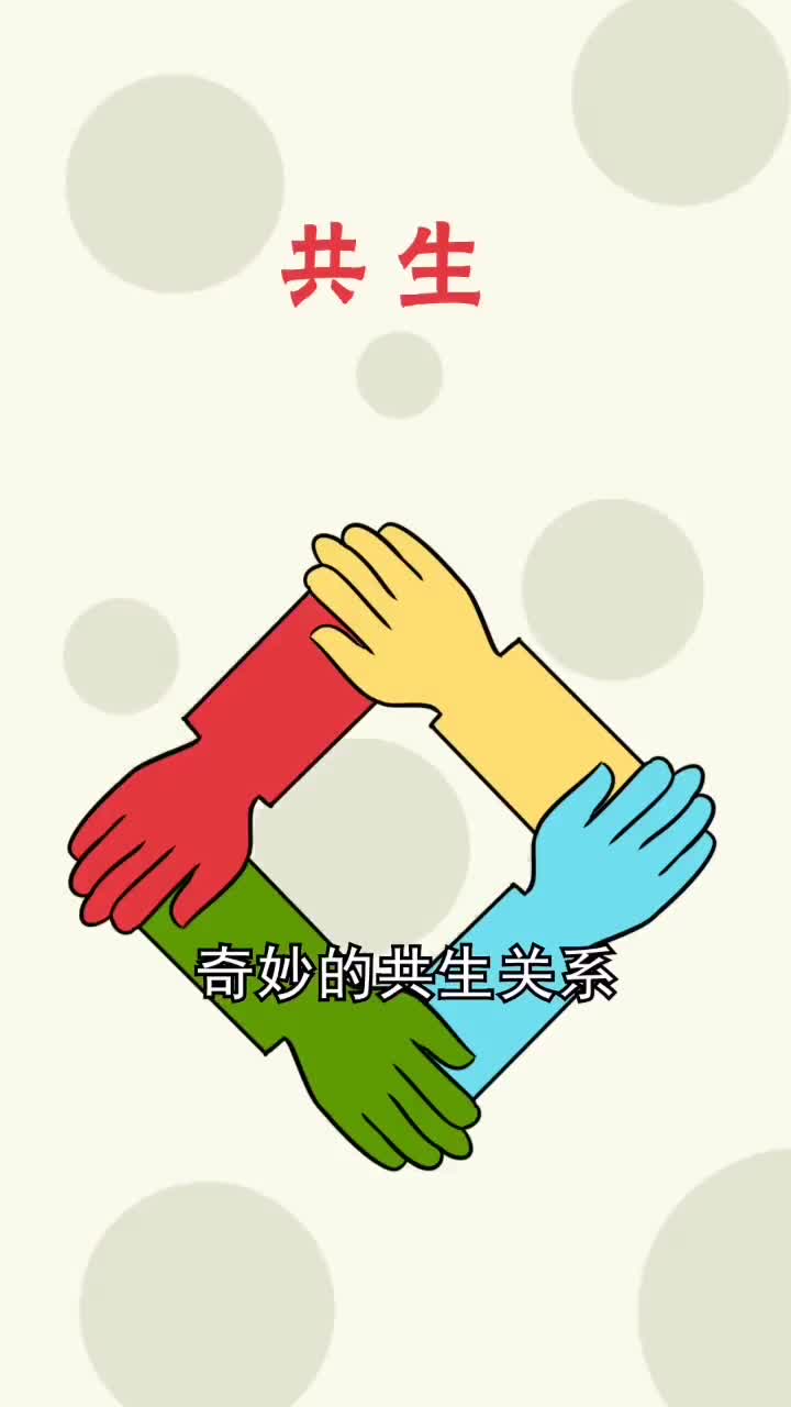 犀牛犀牛鸟和猴子的共生关系