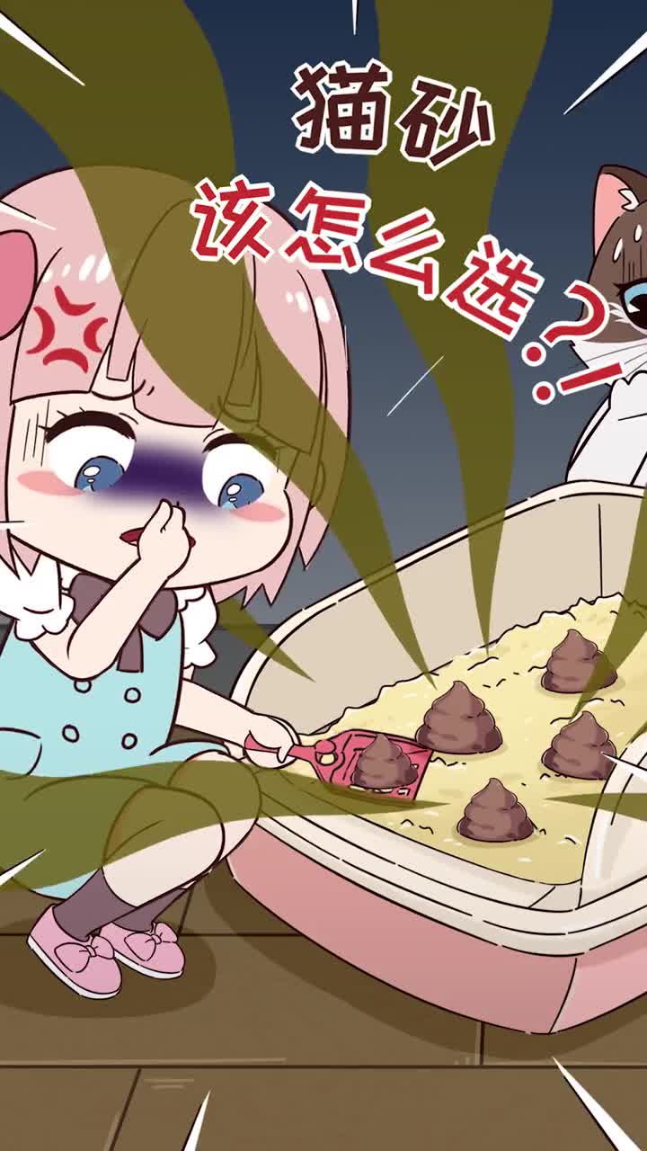 新手该如何选猫砂不仅除臭要好有利健康猫咪也得喜欢哦