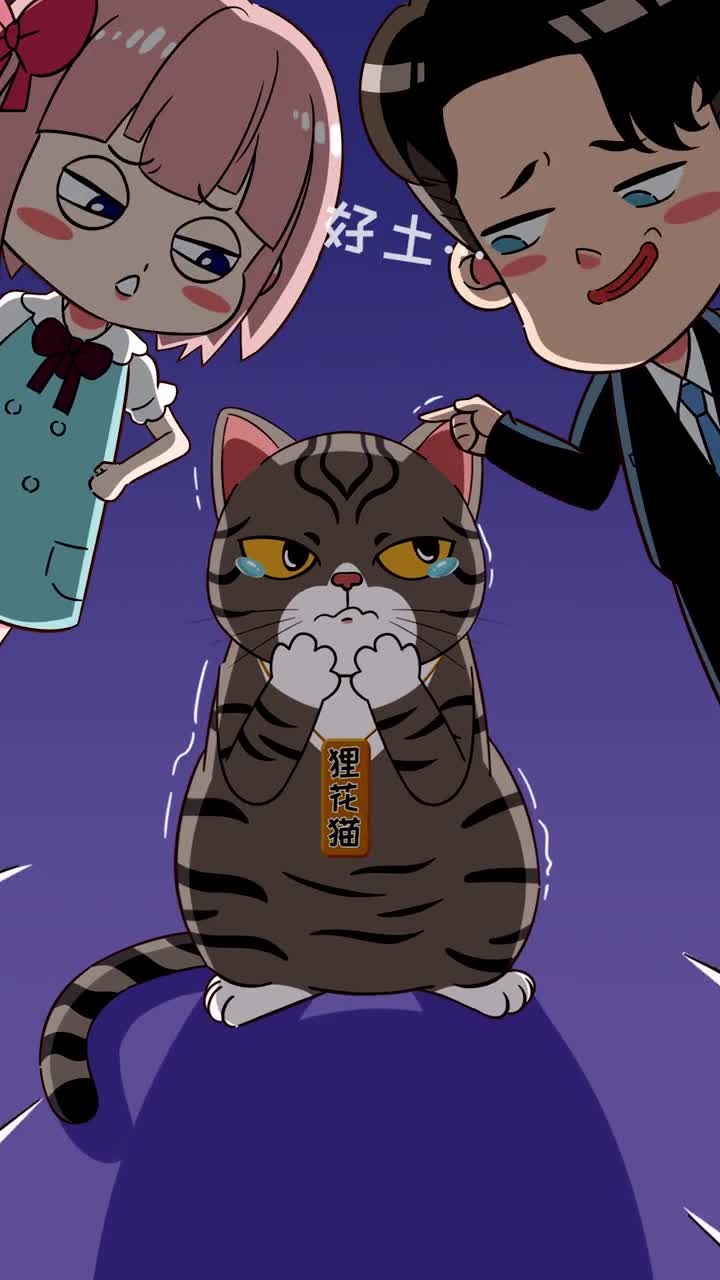 还以为中华田园猫很土很low吗那是你不知道它的名贵