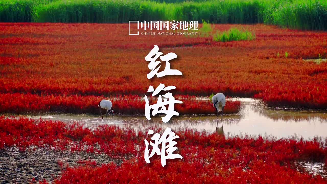 这里被誉为世界红色海岸线中国最浪漫的游憩海岸线你去过吗