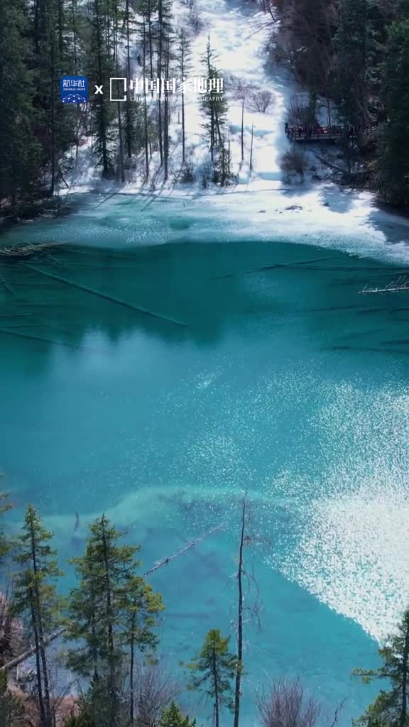 让人一眼沦陷的蓝色秘境四川省阿坝州九寨沟县的青龙海是嫩恩桑措神仙池内一处特别的高山海子湖水清澈碧透有天空般的澄明亦有宝石般的华丽或许只有大自然才知道青龙海华而不俗的秘密