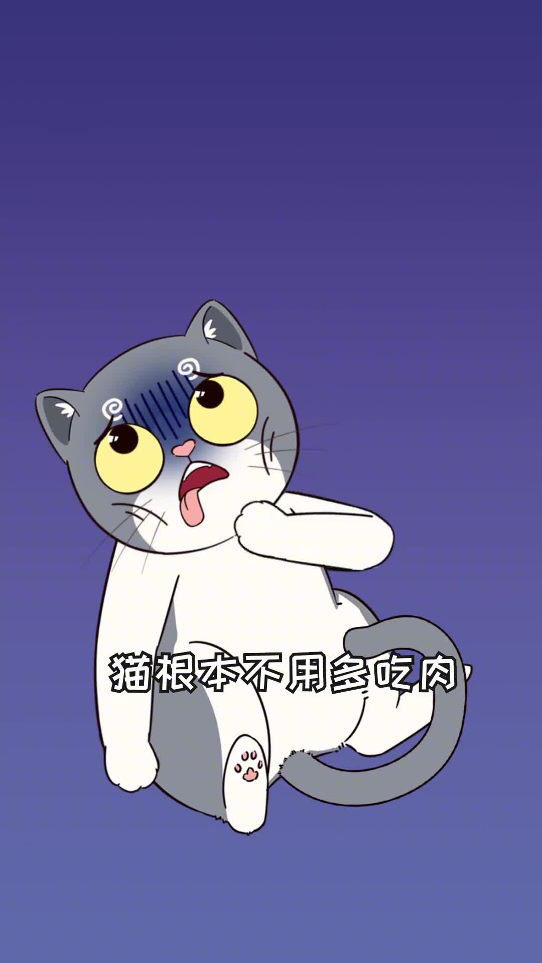 猫为什么喜欢面包米饭