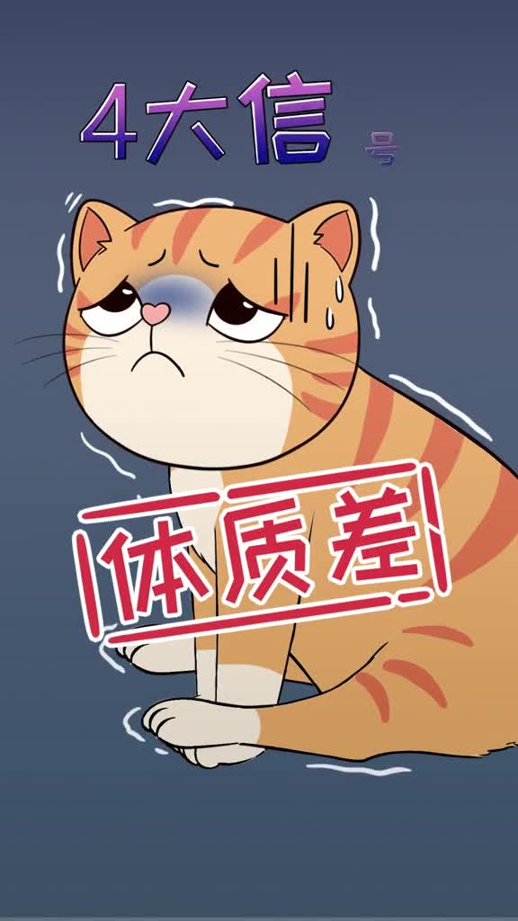猫咪体质变差的4大信号太难发现了铲屎官平时要多注意哦